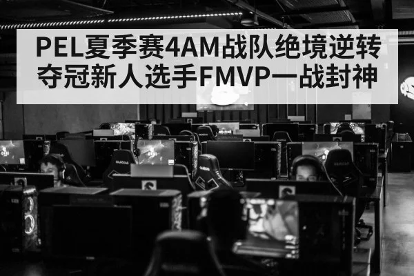 PEL夏季赛4AM战队绝境逆转夺冠新人选手FMVP一战封神