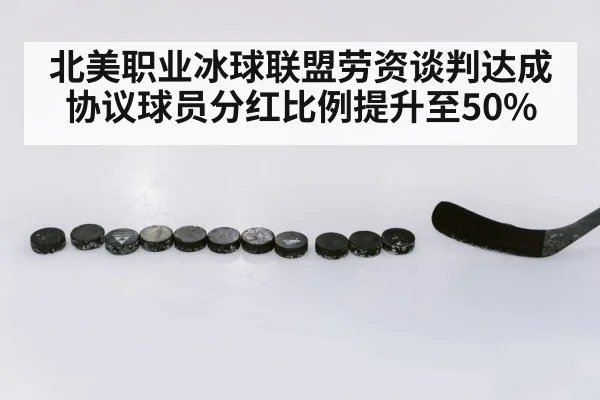 北美职业冰球联盟劳资谈判达成协议球员分红比例提升至50%